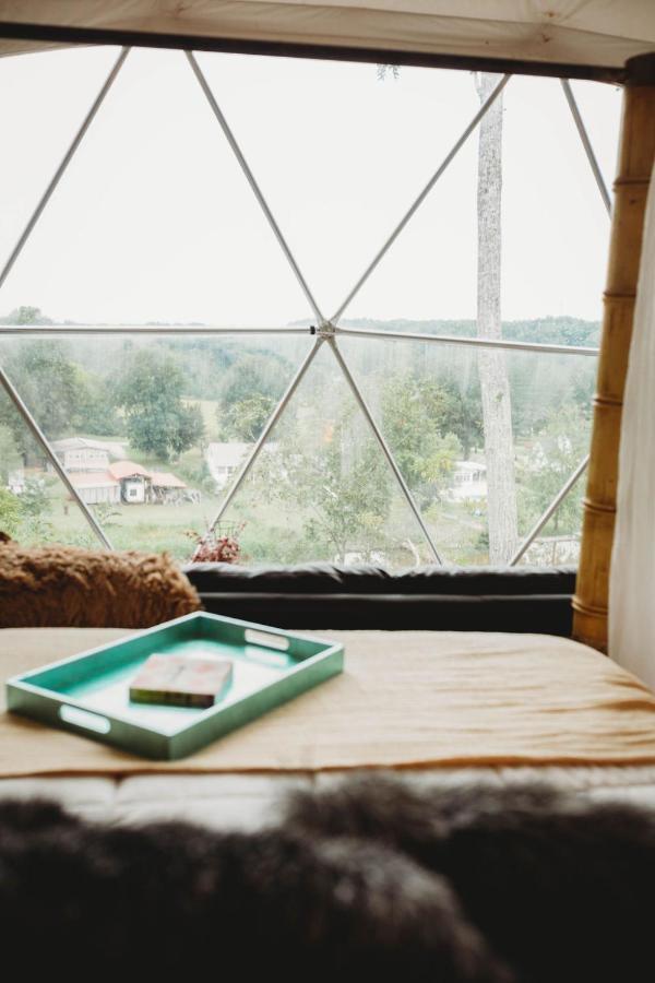 Waterfront Luxury Glamping Dome Hotel Rogersville ภายนอก รูปภาพ