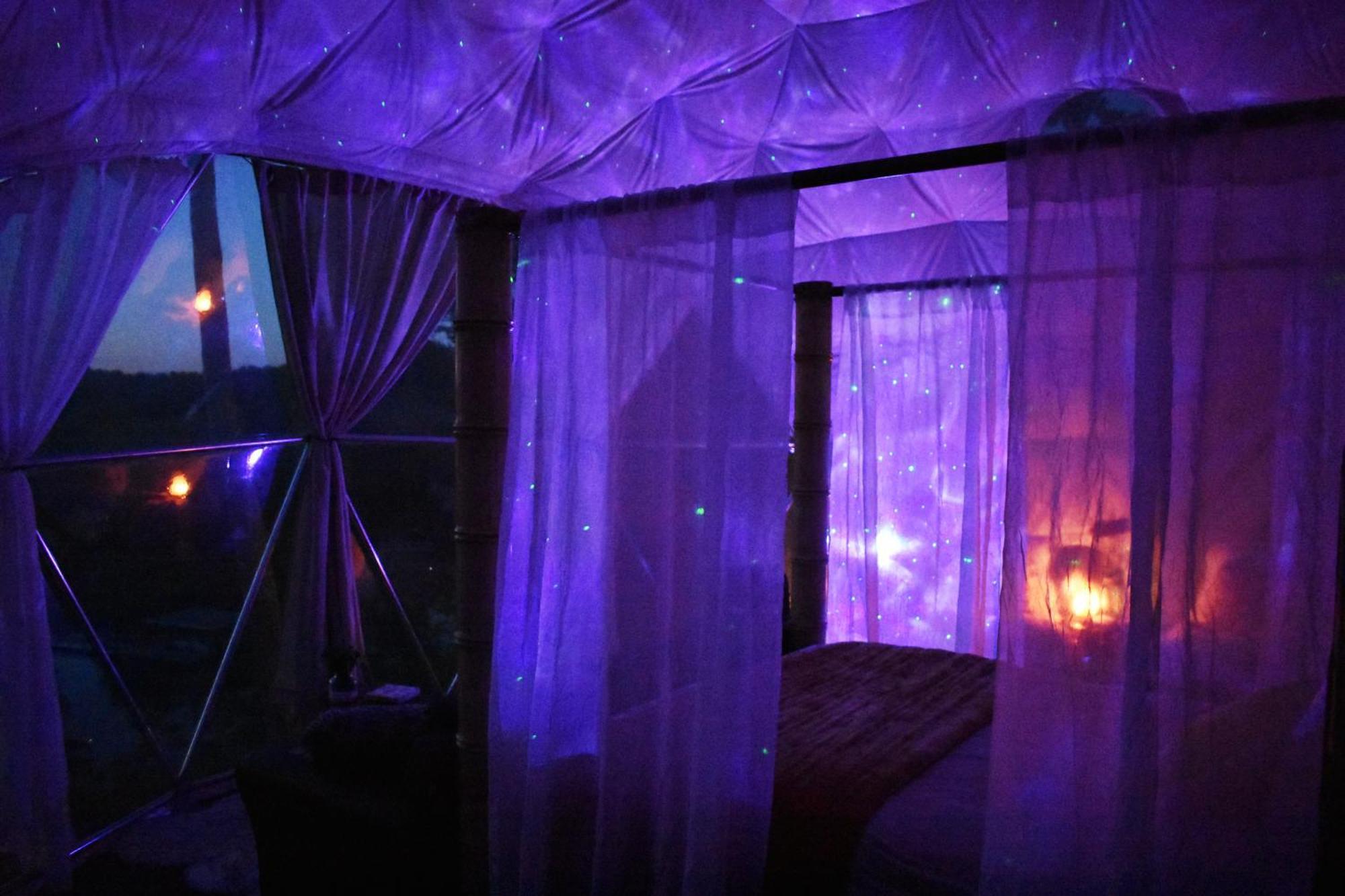 Waterfront Luxury Glamping Dome Hotel Rogersville ภายนอก รูปภาพ